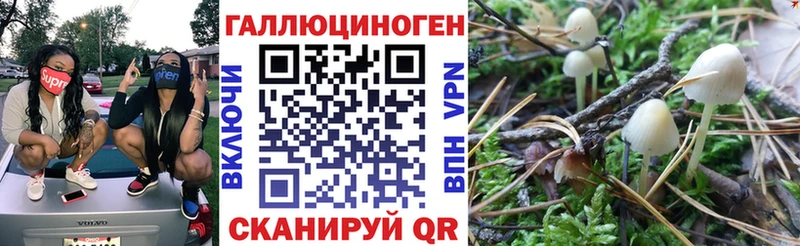 Купить  Первомайск  Псилоцибиновые грибы GOLDEN TEACHER 