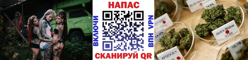 Бошки Шишки Ganja  Купить закладки  Первомайск 